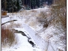 DSC_1613.jpg