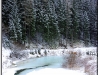 DSC_1617.jpg