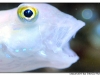 macro_3410.jpg