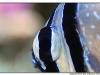 macro_3422.jpg