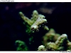DSC_3146.jpg