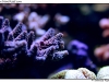 DSC_3156.jpg