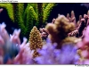 DSC_3169.jpg