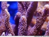 DSC_3522.jpg