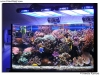 DSC_3622.jpg