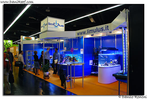 Limulus stand