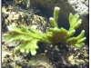 IMGP0175.jpg