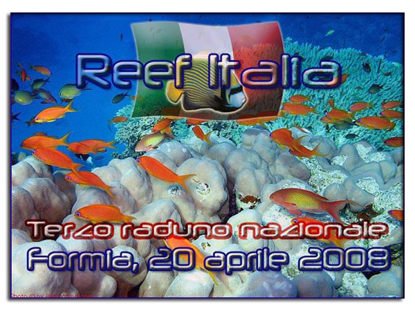 Raduno ReefItalia