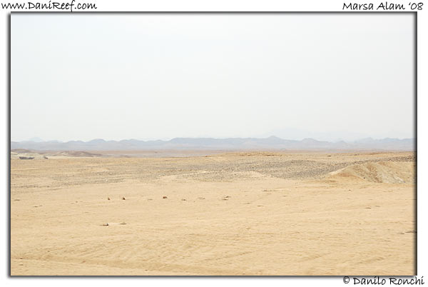 Desert on Marsa Alam