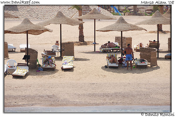 Holiday Beach Resort Beach Marsa Alam Red Sea