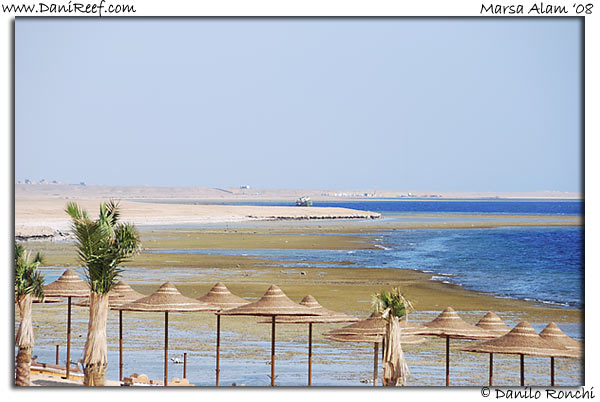 Holiday Beach Resort Beach Marsa Alam Red Sea