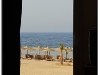 DSC_6919.jpg
