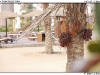 DSC_7077.jpg
