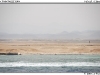 DSC_7117.jpg