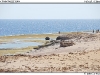 DSC_7493.jpg