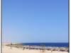 DSC_7511.jpg