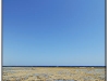 DSC_7515.jpg