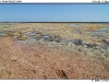 DSC_7517.jpg