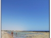 DSC_7521.jpg