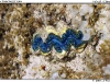 DSC_7595.jpg