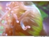 macro_3423