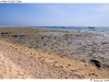 DSD_1715