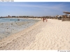 DSD_1721