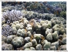 P9010226-copy