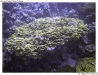 P9010242-copy