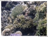 P9010290-copy