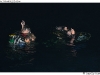 DSD_1983