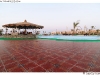DSD_2166