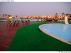 DSD_2178
