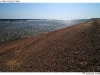 DSD_2356