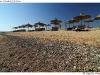 DSD_2361