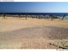 DSD_2378