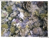 P8290058-copy