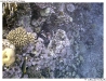 P8290071-copy