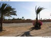 DSD_1607