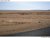 DSD_1610
