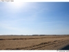 DSD_1611
