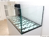 DSD_4338