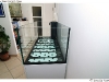 DSD_4339