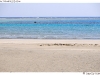 DSD_1835