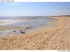 DSD_1836