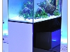 DSD_9902
