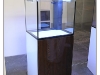 DSE_2379