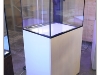 DSE_2381