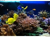 DSE_7835-copy