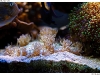 DSE_7922-copy
